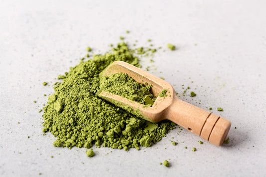 Benefits of Including Moringa in your Diet