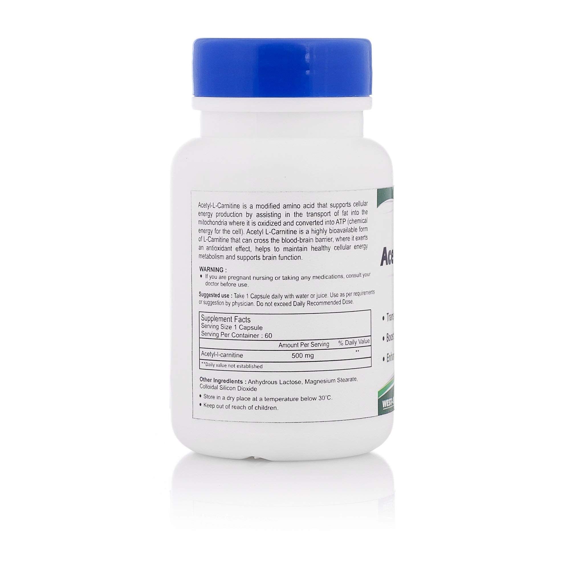 Healthvit Acetyl L-Carnitine (Alcar) 500mg | Supercharges Brain Healthvit Acetyl L-Carnitine (Alcar) 500mg | Supercharges Brain