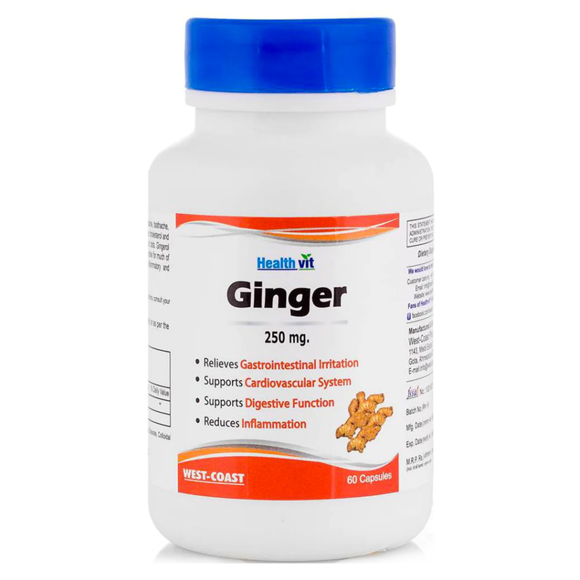 Healthvit ginger powder - digestive support after meals