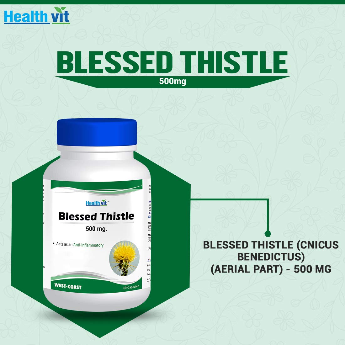 Healthvit Blessed Thistle 500 mg - 60 Capsules