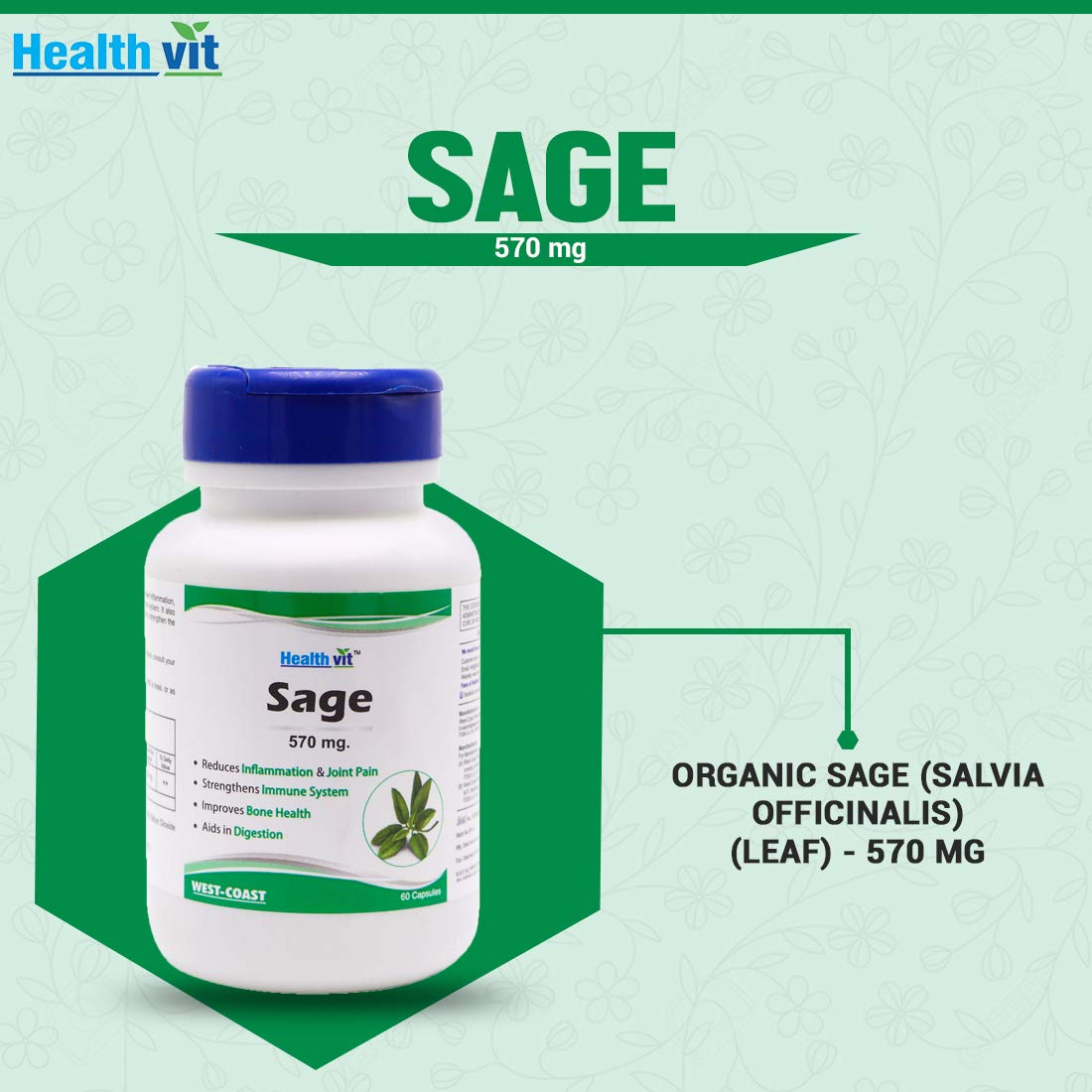 Healthvit Sage 570mg For Improves Bone Health | Reduces Inflammation And Joint Pain | Strengthens Immune System | Supports Brain And Memory Health | 100% Natural And Vegan | 60 Capsules