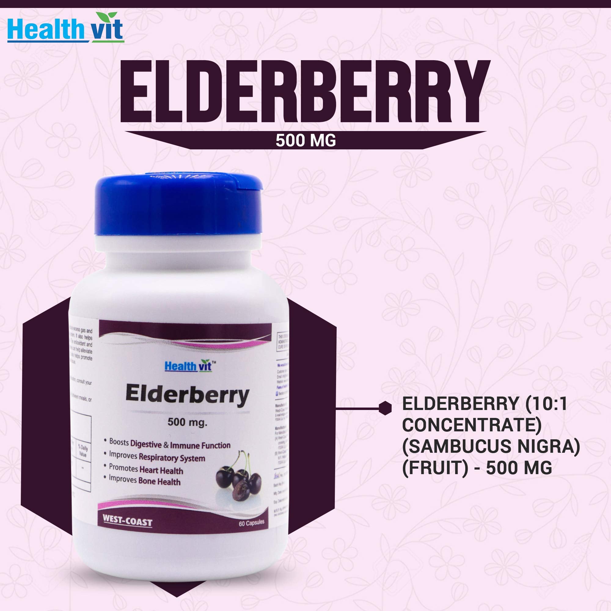 Healthvit Elderberry 500mg For Healthy Immune System | Maintain Health And Well Being | Improves Raspiratory System | Vegan And Gluten Free | 60 Capsules
