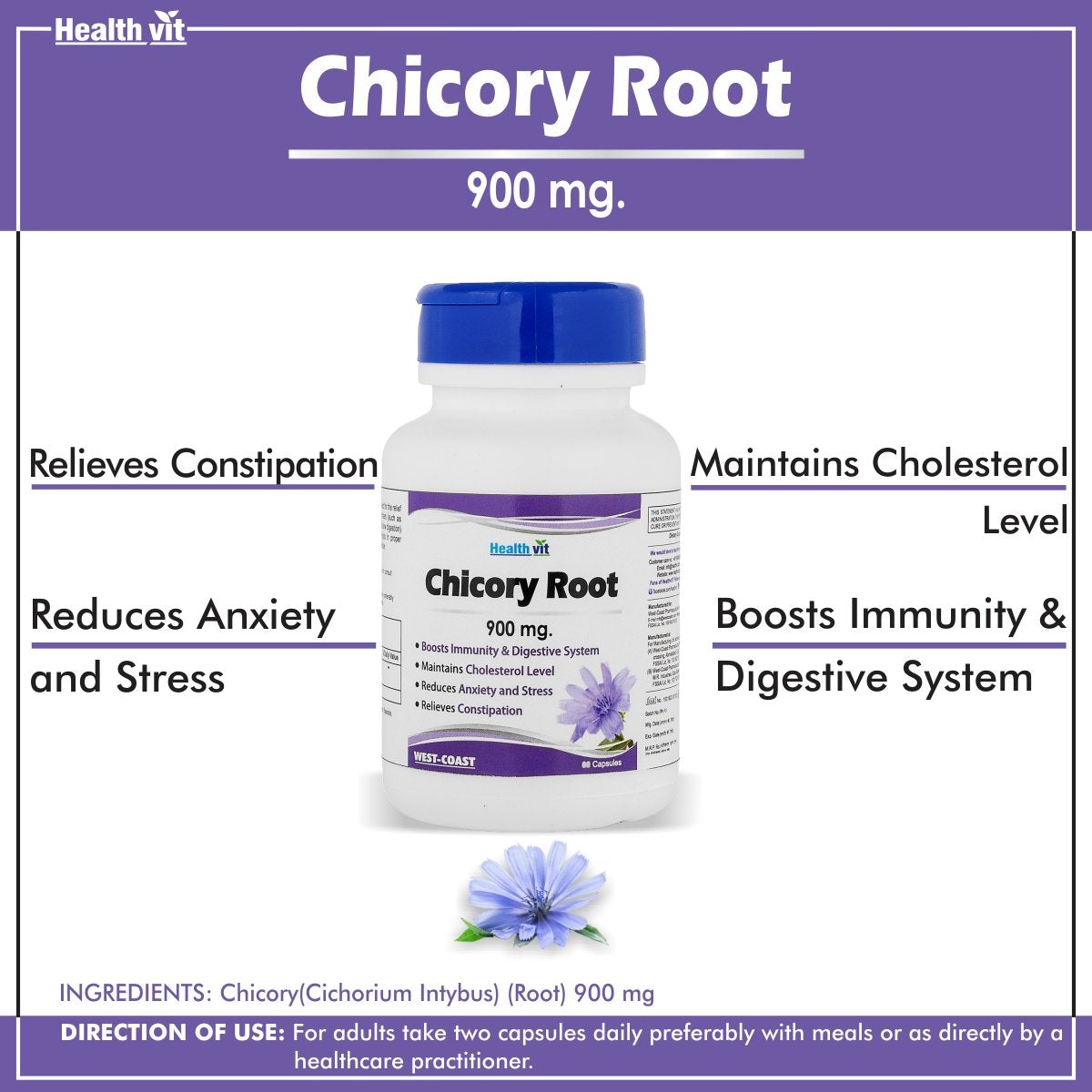 Healthvit Chicory Root 900mg 60 Capsules For Immunity Booster