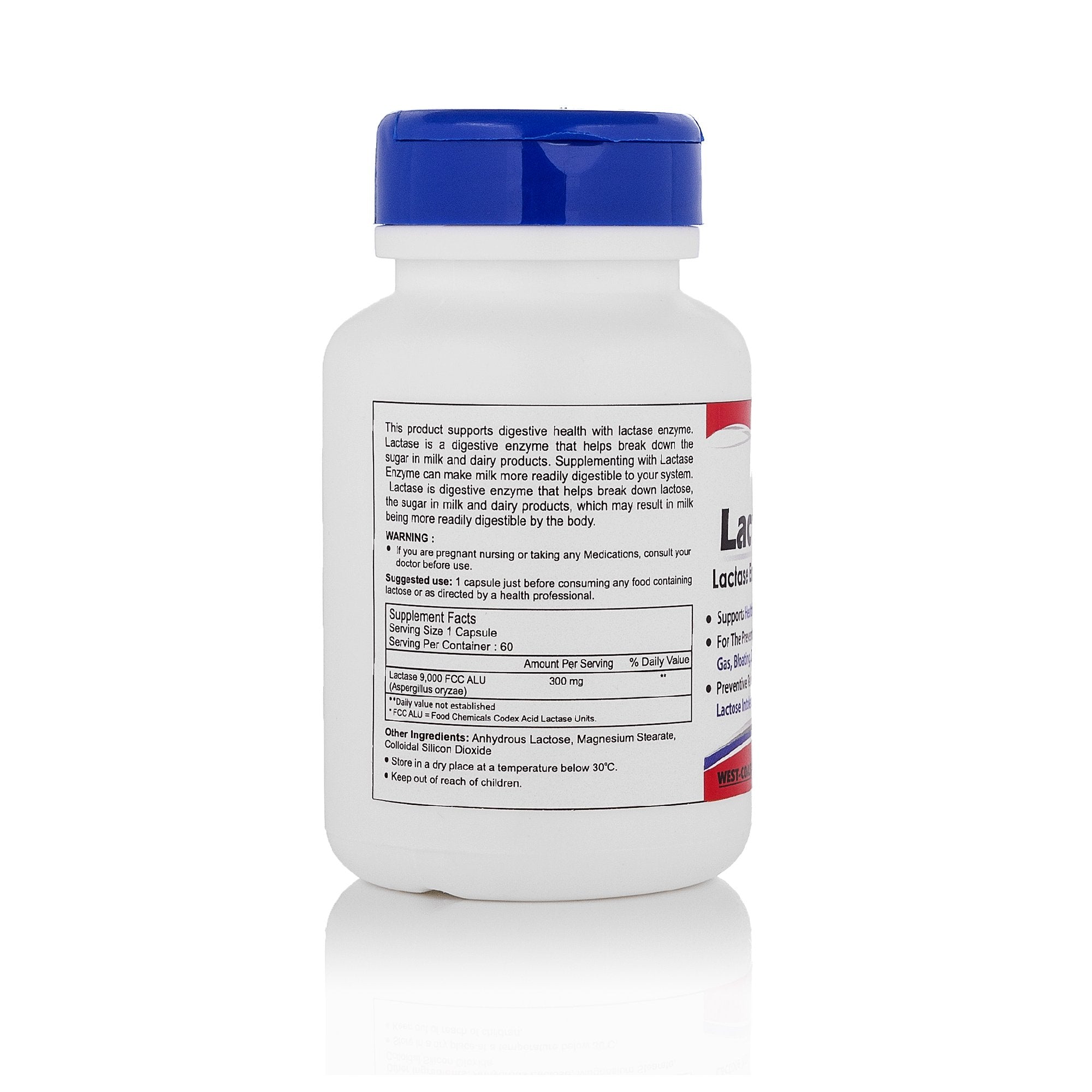 HealthVit Lactaneed Lactase Enzyme Supplement 300mg 60 Capsules For Lactose Intolerance